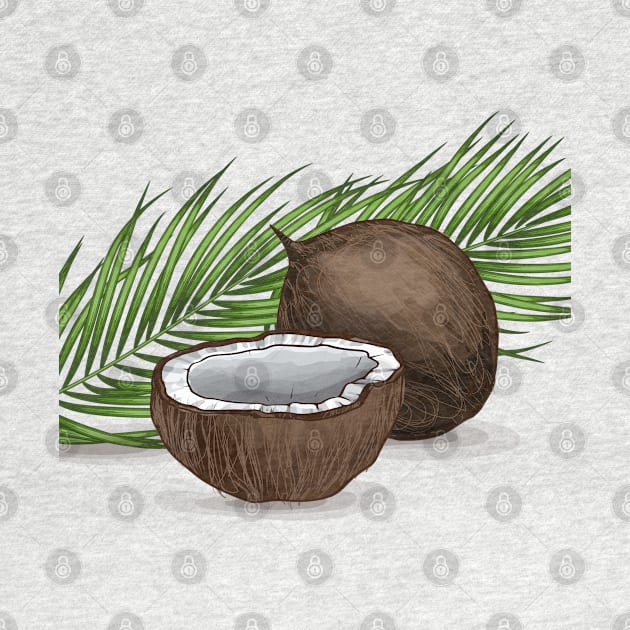 Hand Drawn Coconut Illustration by Mako Design 